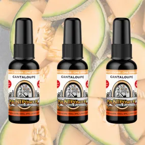 Cantaloupe Long Lasting Spray Air Freshener Bundle (3 Pack)