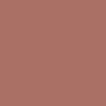 FC Comfy Silk Liquid Lip Color- Lunar Brown 11 3ml