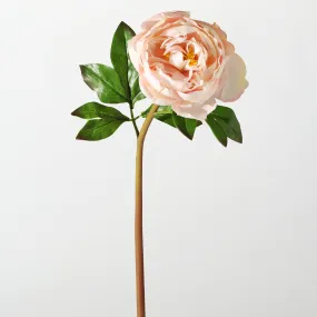 The Perfect Peony Real Touch Forever Flower 22" Stem - Blush